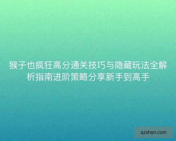 猴子也疯狂高分通关技巧与隐藏玩法全解析指南进阶策略分享新手到高手